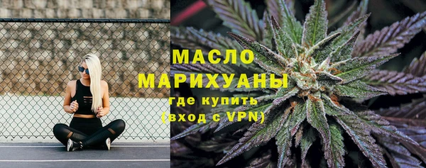 гидра Краснослободск