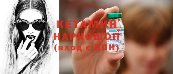 трава Корсаков
