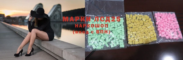 ECSTASY Костерёво