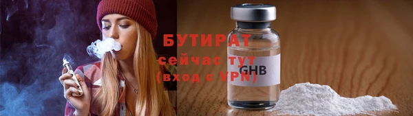 гидра Краснослободск