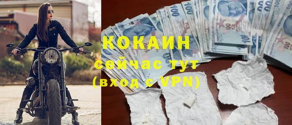 гидра Краснослободск
