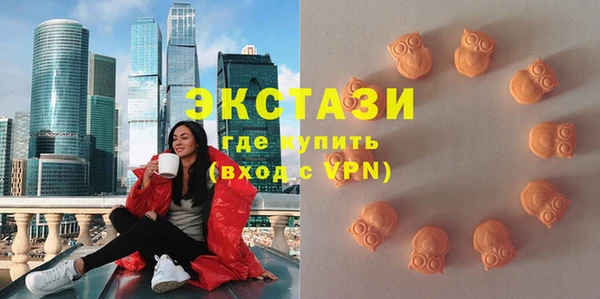 гидра Краснослободск
