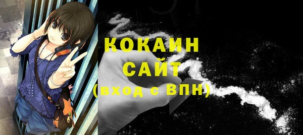 гидра Краснослободск