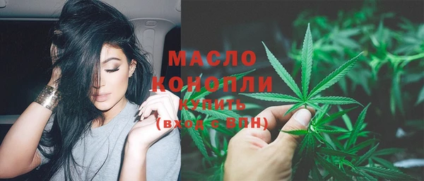 гидра Краснослободск