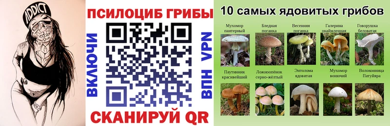 купить  цена  ОМГ ОМГ ONION  Псилоцибиновые грибы ЛСД  Яранск 